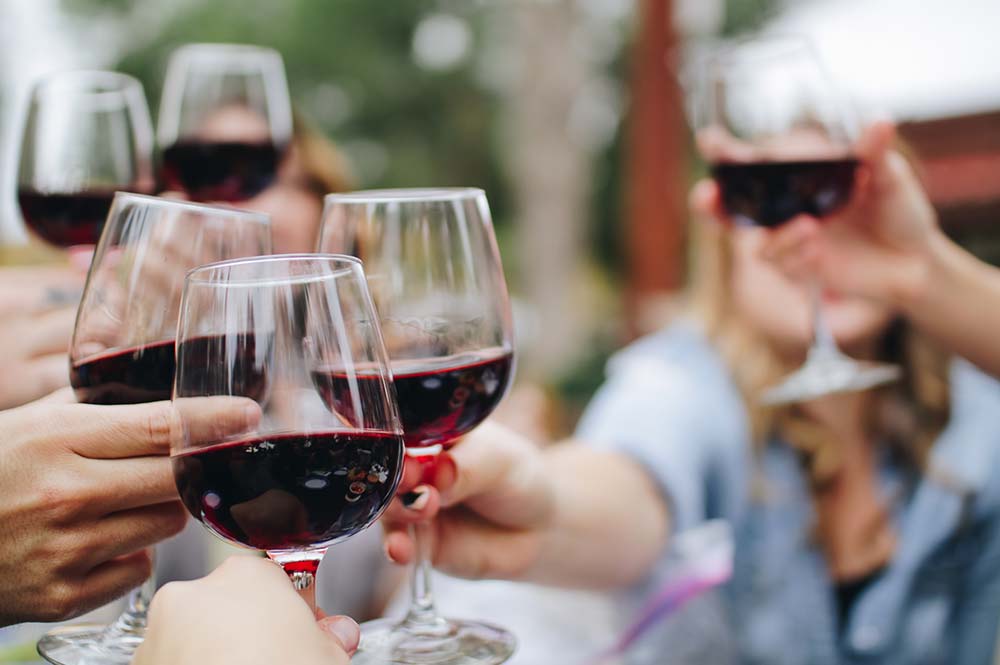 Wine-Tapas14 Wine-Tapas14 people drinking wine together cheers, Wine & Tapas with the Locals, edible bike tours